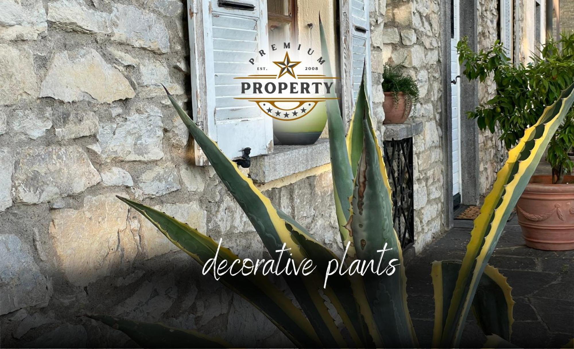 Magnificent Sunstone House, Private Parking, Bbq Area, Kids Toys, Near Como Lake I Villa Dei Leoni Morbio Inferiore 外观 照片